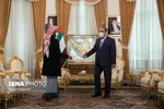 مشاور امنیت ملی امارات با شمخانی دیدار کرد + عکس