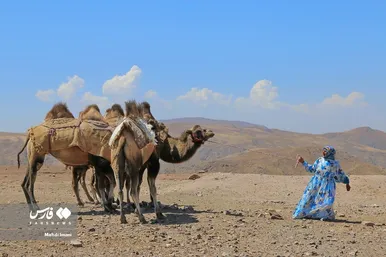 مادرانِ آبادی