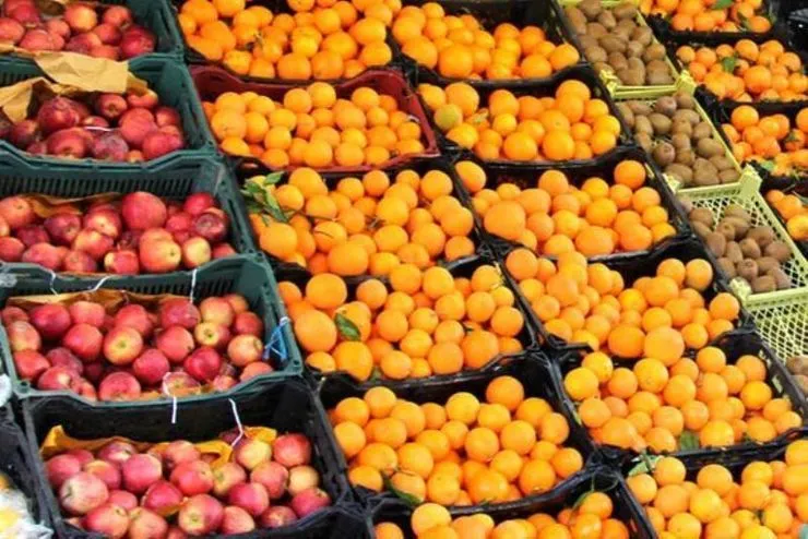 کرونا، سیب و پرتقال را گران کرد