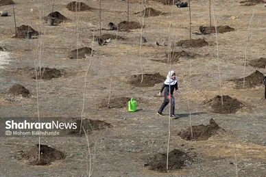 پویش سراسری درخت‌کاری در بوستان جهانشهر
