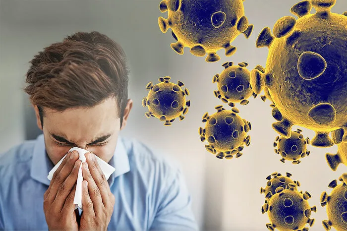 ویروس آنفلوانزا 
سرماخوردگی