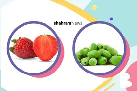 دانستنی&zwnj;های کودک | سبز و قرمز و خوشمزه، نوبرانه&zwnj;های بهار
