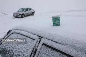 ویدئو | دومین روز برفی مشهد مقدس (۲۰ دی ۱۴۰۱)