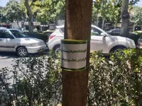 اجرای پویش مردمی «نذر من» در مشهد برای پاکسازی معابر منتهی به حرم مطهر از فیلتر سیگار و درب بطری