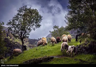 ایران زیباست | طبییعت بهاری منطقه کوهستانی هفت حوض - خرم آباد