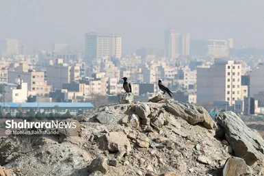 آلودگی هوا در مشهد (۱۹ آذر ۱۴۰۲)