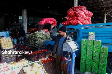 گزارش تصویری | بازدید رئیس کمیسیون اصل ۹۰ از میدان‌بار سپاد مشهد (۲۴ بهمن ۱۴۰۳)