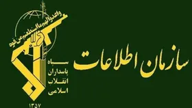 شناسایی و انهدام ۱۲ شبکه سازمان&zwnj;یافته تروریستی و جاسوسی در استان کرمان
