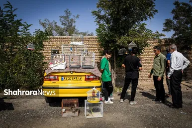عکس‌هایی از جمعه‌بازار پرنده‌فروشان در شمال شرق مشهد