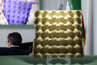 هفدهمین نمایشگاه بین المللی دام ، طیور و آبزیان