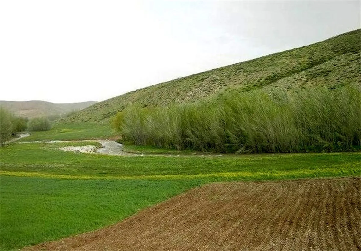 شناسنامه خاک شهرستان های خراسان رضوی رونمایی می شود
