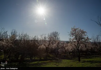 ایران زیباست | اندک اندک می‌رسد اینک بهار