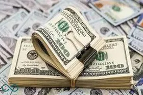 جزئیات بیشتر از &laquo;پیش&zwnj;فروش ارز&raquo; اعلام شد