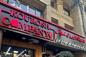 ارسال پرونده مالک متواری &laquo;کوروش کمپانی&raquo; به اینترپل و صدور اعلان قرمز