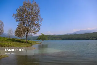 گزارش تصویری | طبیعت بهاری دریاچه لفور - مازندران