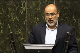 مخالف وزیر پیشنهادی کشاورزی: برنامه&zwnj;های نیکبخت خالی از ایده&zwnj;های خلاق است