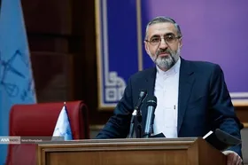 سخنگوی قوه&zwnj;قضائیه: سال گذشته ۳۰۳ مفسد اقتصادی در خراسان رضوی محکوم شدند