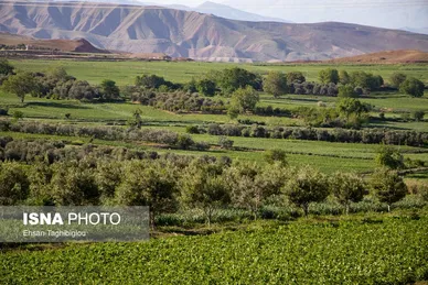 ایران زیباست | طبیعت بهاری «طارُم»، هندوستان ایران