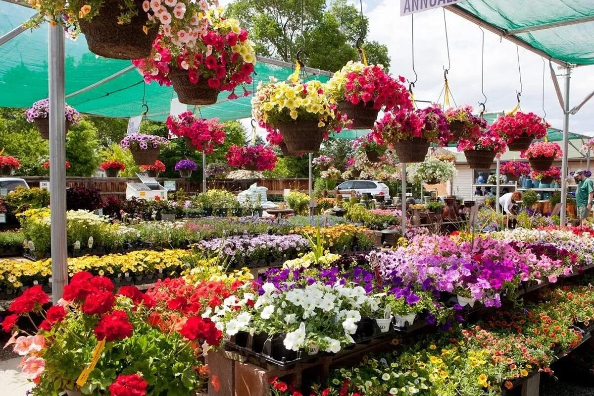دسترسی آسان‌تر به نهال و گل در غرفه‌های فروش ویژه شهرداری مشهد + فیلم
