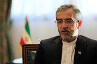 باقری‌کنی: عقب نشینی در میدان دیپلماسی برای ما قدرت نمی‌آورد