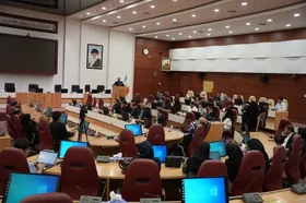 مشهد جزو پیشگامان کشور در حوزه صرع می باشد