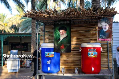 گزارش تصویری | طریق العلما؛ زائران اربعین در مسیر کربلا