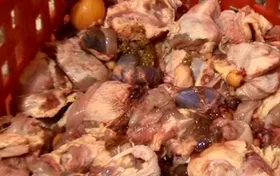 استفاده از تاج خروس و گوشت گربه در تولید سوسیس و کالباس