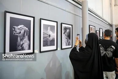 گزارش تصویری | هشتمین اکسپوی سراسری عکس همدم