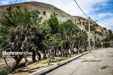 ابریشم کشی در بایگ