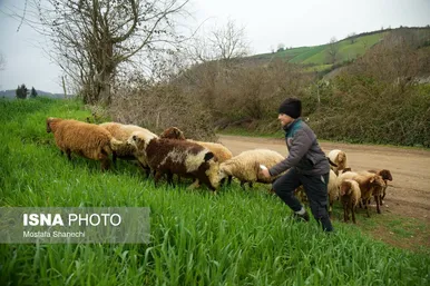 ایران زیباست | طبیعت بهاری روستاهای اطراف ساری