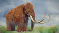 ویدئو| ماموت‌ها به زمین برمی‌گردند