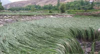 خبرهای تکمیلی از خسارت سیل به مناطق روستایی کلات و درگز خراسان رضوی و گرفتار شدن ۸ گردشگر + فیلم