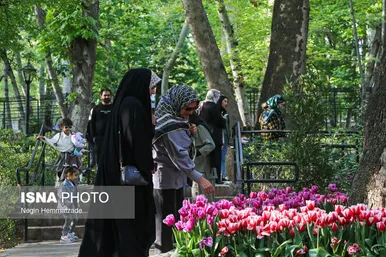 فصل لاله‌ها در باغ ایرانی