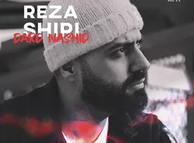 دانلود آهنگ جدید رضا شیری به نام &laquo;درد نشید&raquo;+متن ترانه