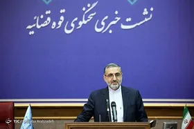 سلطان خودرو و همسرش به اعدام محکوم شدند/ حکم ۲نماینده مجلس صادر شد