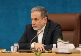 عراقچی: همسایگان می&zwnj;توانند بسیاری از مشکلات ما را به طور کامل رفع کنند
