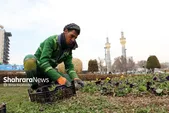 اصطلاح «گل‌کاری» مشهدی‌ها به چه معناست؟