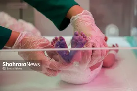 دستجردی: اصلی&zwnj;ترین مانع بر سر راه فرزندآوری، مسائل اقتصادی است