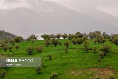 ایران زیباست | طبیعت بهاری چهارمحال و بختیاری