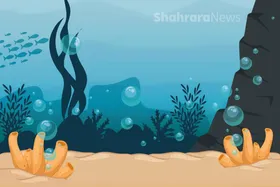 دانستنی&zwnj;هایی درباره محیط زیست | اسیدی شدن اقیانوس&zwnj;ها