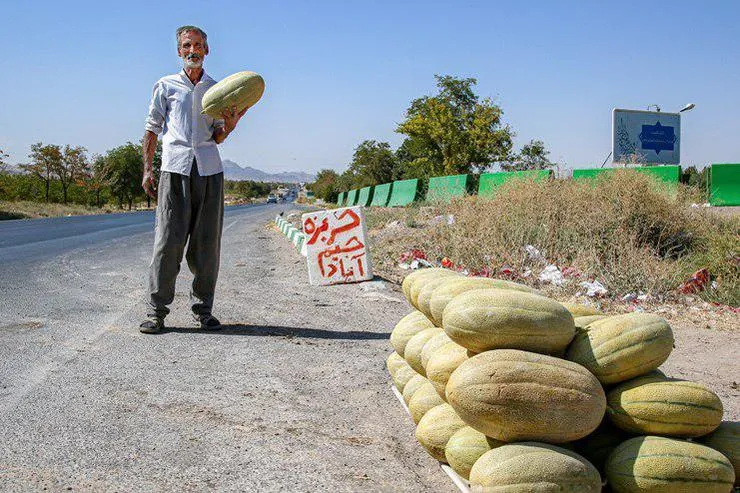 گردشگری روی پوست خربزه