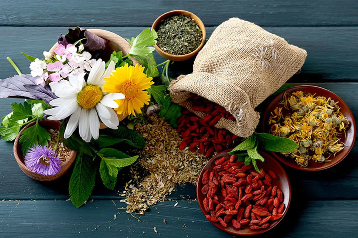 توصیه‌های طب ایرانی برای حفظ سلامتی در فصل بهار| حجامت برای همه افراد مناسب نیست