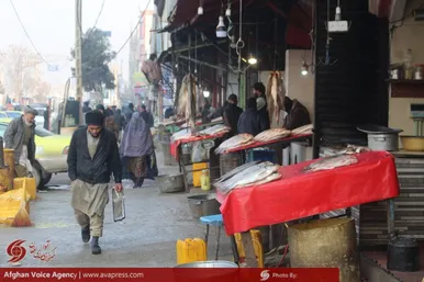 ماهی فروشان مزارشریف