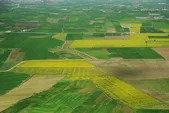 مزارع و باغات کشاورزی شناسنامه‌دار می‌شوند