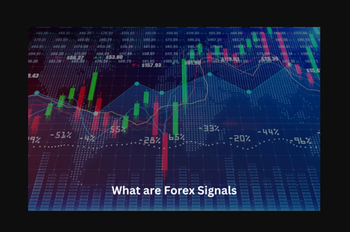 سیگنال فارکس رایگان یا پولی؟ کدام انتخاب بهتری است؟