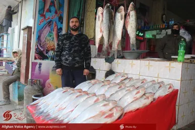 ماهی فروشان مزارشریف