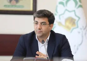 دائمی: باید در  موانع قانونی بر سر راه پارلمان شهری بازنگری صورت گیرد
