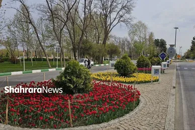 گل‌ آرایی بهاری در بهشت رضا(ع)