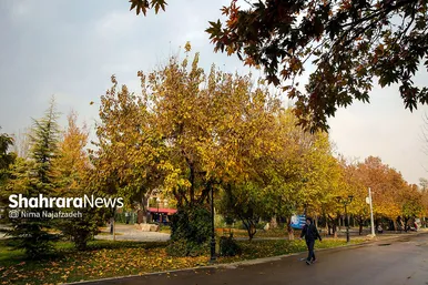 طبیعت پاییزی بوستان های مشهد