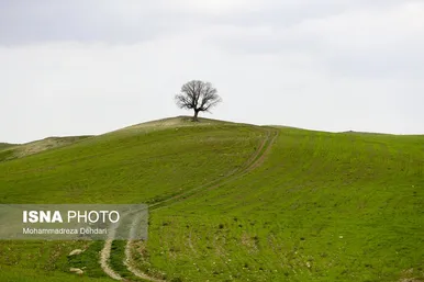 ایران زیباست | زمستان بَهاری در فارس